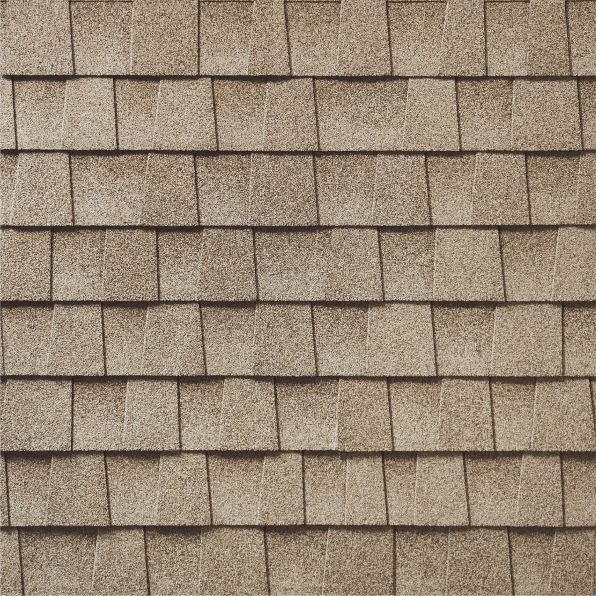 Roof Redemption Images