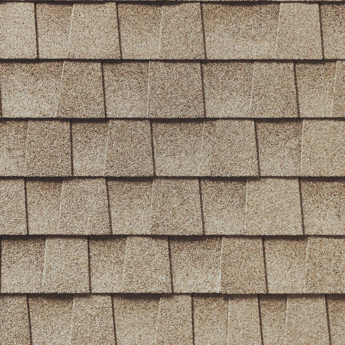 Roof Redemption Images