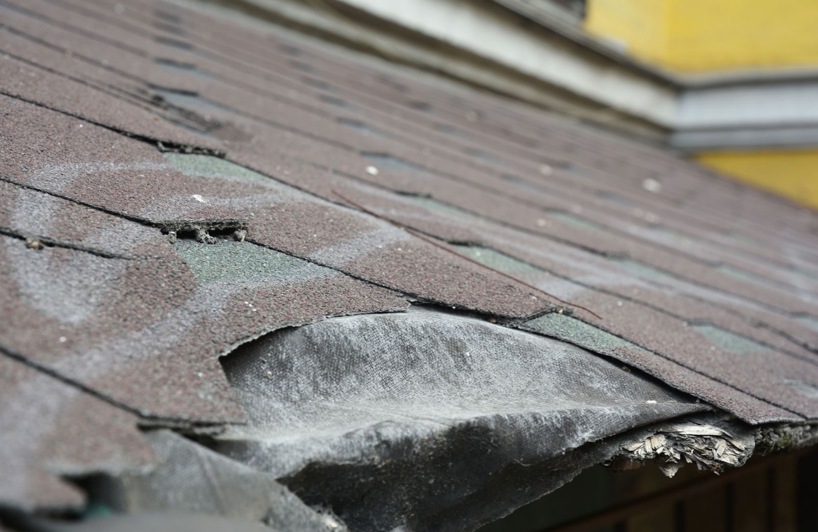 Roof Redemption Images
