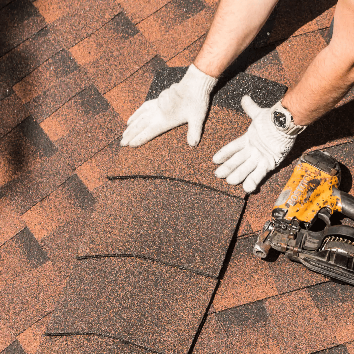 Roof Redemption Images