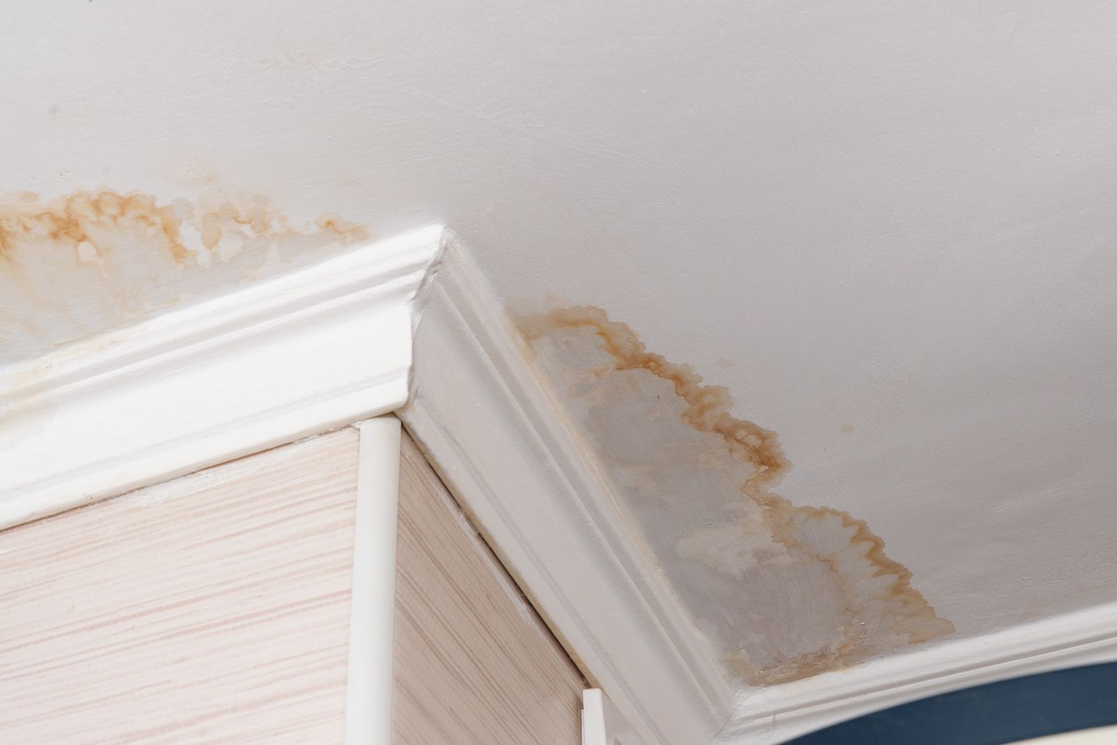 Roof Redemption Images