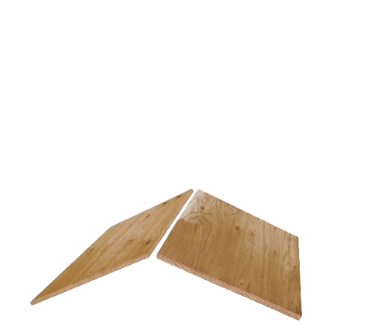 Roof Redemption Images