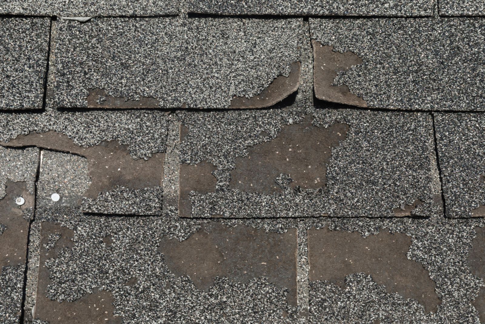 Roof Redemption Images