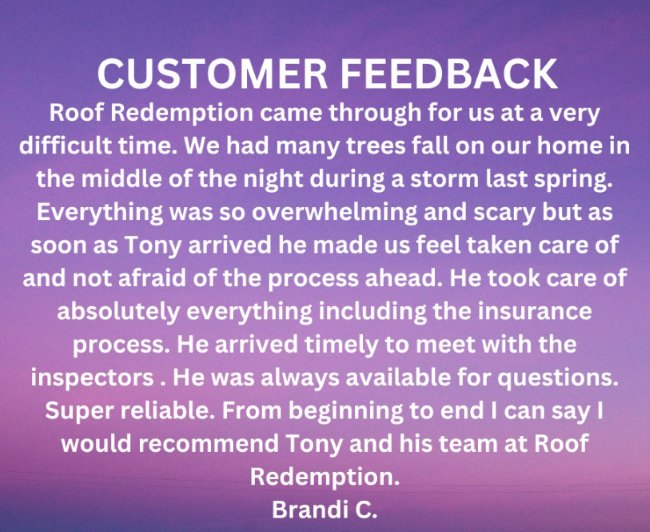 Roof Redemption review image